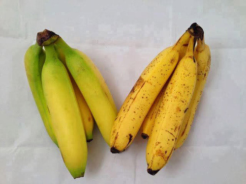 Sự khác nhau rõ rệt của chuối chín nhờ hóa chất (bìa trái) và chuối chín tự nhiên (bìa phải)  - cach nhan biet chuoi chin ep -