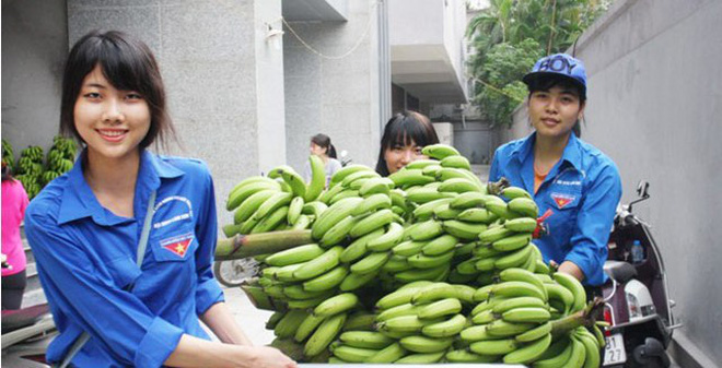 Nhiều nữ sinh viên tình nguyện tham gia vận chuyển chuối giúp người mua giải cứu chuối tiêu hồng - giai cuu chuoi tieu hong 1 - Dân Thủ đô &#8220;giải cứu chuối tiêu hồng&#8221;: 2 tiếng bán sạch 300 buồng